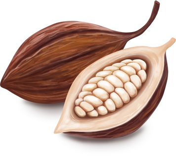 Cocoa Beans Painting