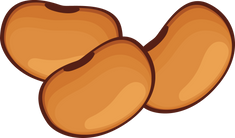 Beans Illustration